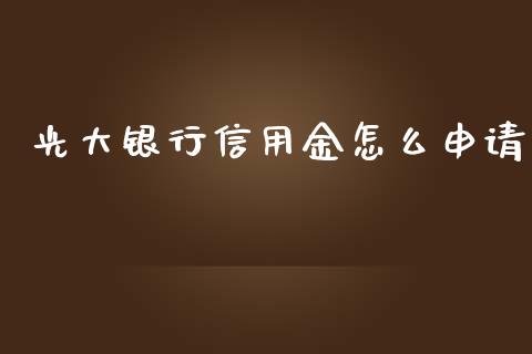 光大银行信用金怎么申请_https://cj.lansai.wang_金融问答_第1张