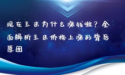 现在玉米为什么涨钱啦？全面解析玉米价格上涨的背后原因_https://cj.lansai.wang_理财问答_第1张