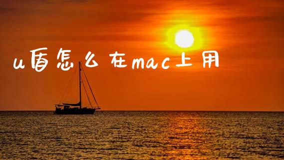 u盾怎么在mac上用_https://cj.lansai.wang_金融问答_第1张