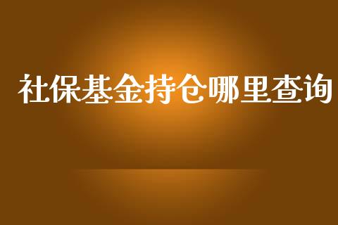 社保基金持仓哪里查询_https://cj.lansai.wang_财经问答_第1张