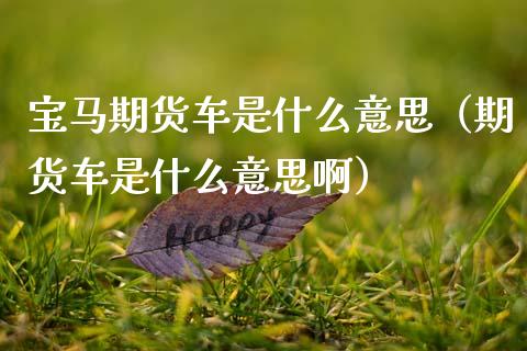 宝马期货车是什么意思（期货车是什么意思啊）_https://cj.lansai.wang_财经百问_第1张