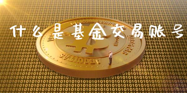 什么是基金交易账号_https://cj.lansai.wang_保险问答_第1张