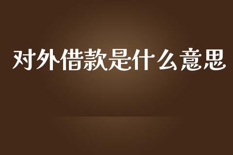 对外借款是什么意思_https://cj.lansai.wang_期货问答_第1张