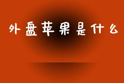 外盘苹果是什么_https://cj.lansai.wang_会计问答_第1张