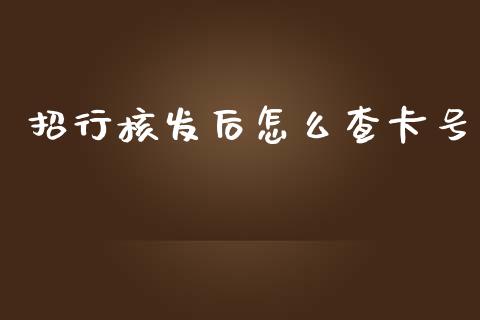 招行核发后怎么查卡号_https://cj.lansai.wang_金融问答_第1张