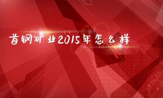 首钢矿业2015年怎么样_https://cj.lansai.wang_股市问答_第1张