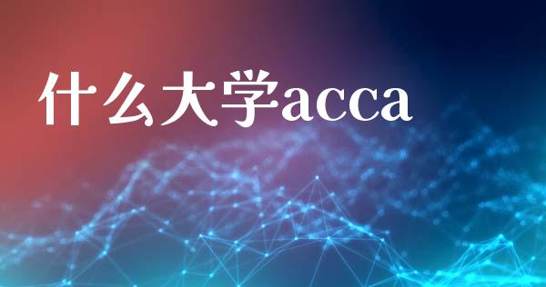 什么大学acca_https://cj.lansai.wang_会计问答_第1张