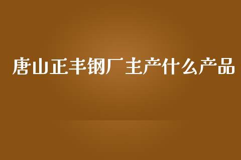 唐山正丰钢厂主产什么产品_https://cj.lansai.wang_财经问答_第1张