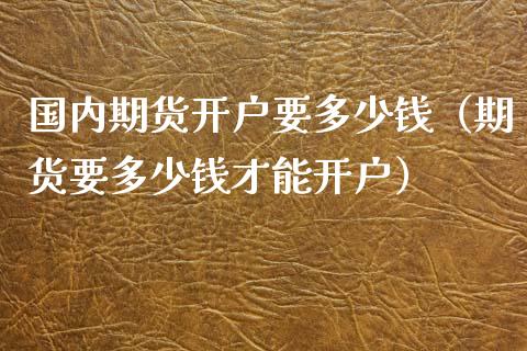 国内期货开户要多少钱（期货要多少钱才能开户）_https://cj.lansai.wang_理财问答_第1张