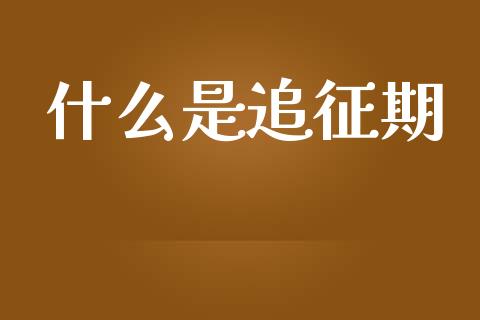 什么是追征期_https://cj.lansai.wang_会计问答_第1张