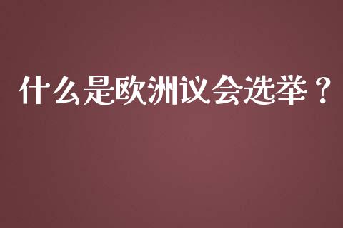 什么是欧洲议会选举？_https://cj.lansai.wang_会计问答_第1张