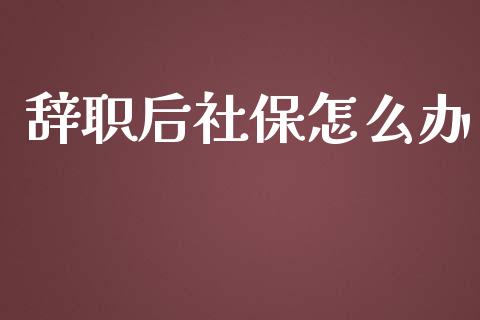 辞职后社保怎么办_https://cj.lansai.wang_保险问答_第1张