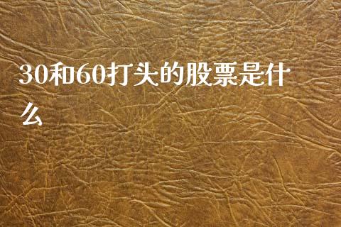 30和60打头的股票是什么_https://cj.lansai.wang_保险问答_第1张