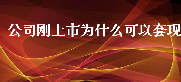 公司刚上市为什么可以套现_https://cj.lansai.wang_财经百问_第1张