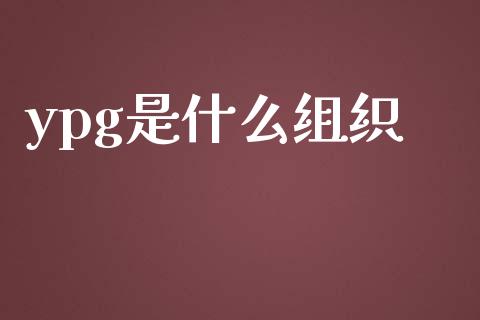 ypg是什么组织_https://cj.lansai.wang_财经问答_第1张