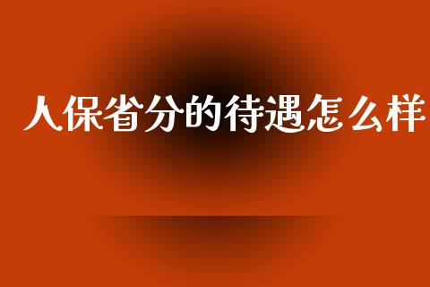 人保省分的待遇怎么样_https://cj.lansai.wang_保险问答_第1张