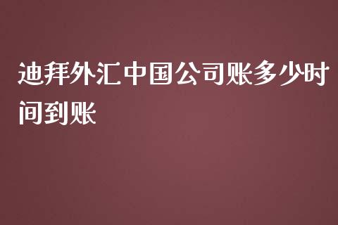 迪拜外汇中国公司账多少时间到账_https://cj.lansai.wang_财经问答_第1张