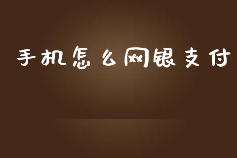 手机怎么网银支付_https://cj.lansai.wang_金融问答_第1张