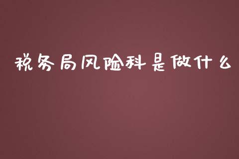 税务局风险科是做什么_https://cj.lansai.wang_会计问答_第1张