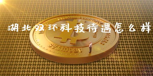 湖北双环科技待遇怎么样_https://cj.lansai.wang_保险问答_第1张