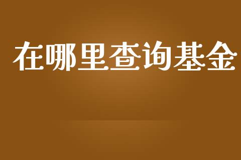 在哪里查询基金_https://cj.lansai.wang_理财问答_第1张