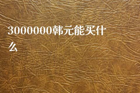 3000000韩元能买什么_https://cj.lansai.wang_财经问答_第1张