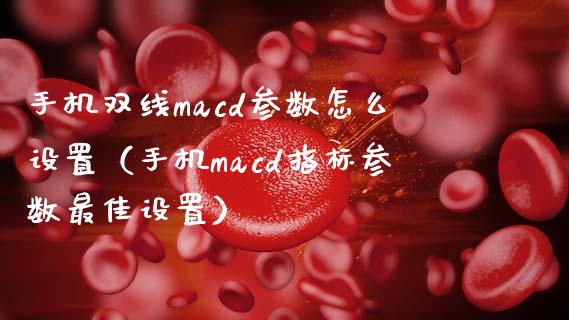 手机双线macd参数怎么设置（手机macd指标参数最佳设置）_https://cj.lansai.wang_理财问答_第1张