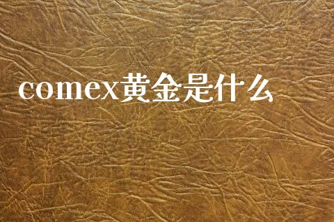 comex黄金是什么_https://cj.lansai.wang_财经百问_第1张