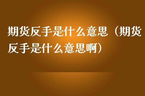 期货反手是什么意思（期货反手是什么意思啊）_https://cj.lansai.wang_金融问答_第1张