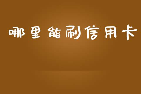 哪里能刷信用卡_https://cj.lansai.wang_金融问答_第1张