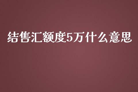 结售汇额度5万什么意思_https://cj.lansai.wang_财经问答_第1张