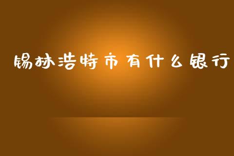 锡林浩特市有什么银行_https://cj.lansai.wang_金融问答_第1张