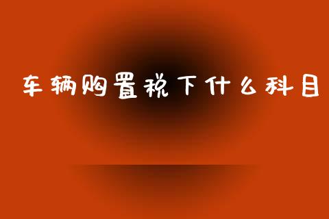 车辆购置税下什么科目_https://cj.lansai.wang_会计问答_第1张