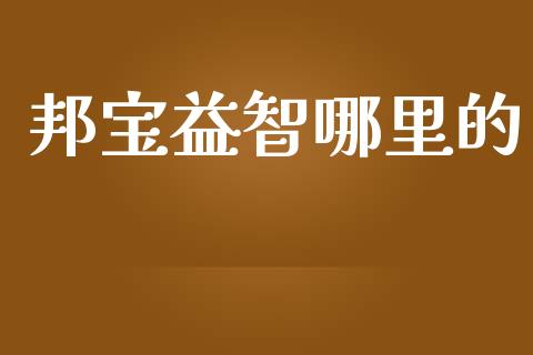 邦宝益智哪里的_https://cj.lansai.wang_股市问答_第1张