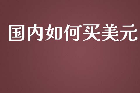 国内如何买美元_https://cj.lansai.wang_财经问答_第1张