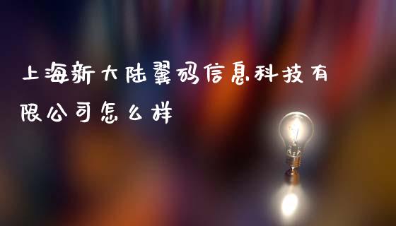 上海新大陆翼码信息科技有限公司怎么样_https://cj.lansai.wang_理财问答_第1张