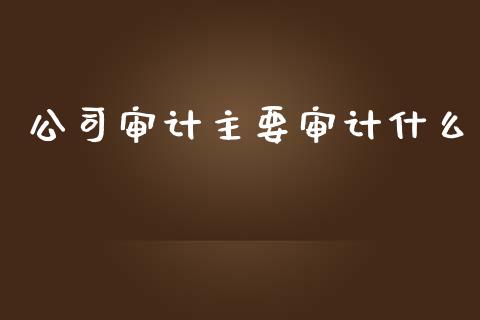 公司审计主要审计什么_https://cj.lansai.wang_会计问答_第1张