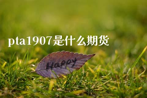 pta1907是什么期货_https://cj.lansai.wang_期货问答_第1张