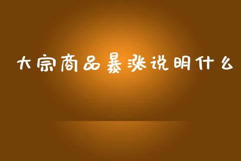 大宗商品暴涨说明什么_https://cj.lansai.wang_理财问答_第1张