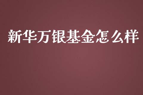 新华万银基金怎么样_https://cj.lansai.wang_理财问答_第1张