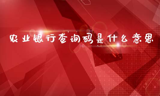 农业银行查询码是什么意思_https://cj.lansai.wang_金融问答_第1张