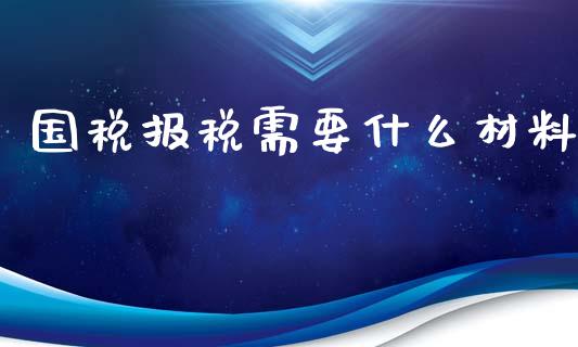 国税报税需要什么材料_https://cj.lansai.wang_会计问答_第1张