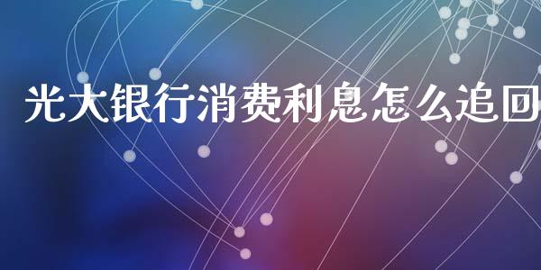 光大银行消费利息怎么追回_https://cj.lansai.wang_金融问答_第1张