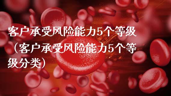 客户承受风险能力5个等级（客户承受风险能力5个等级分类）_https://cj.lansai.wang_会计问答_第1张