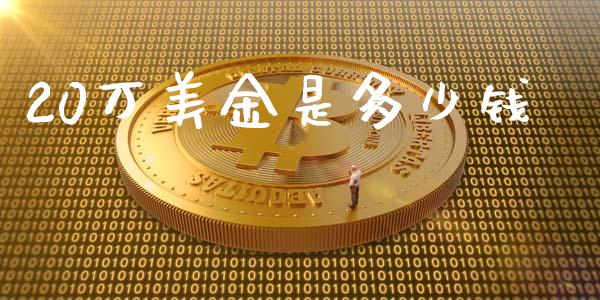 20万美金是多少钱_https://cj.lansai.wang_理财问答_第1张