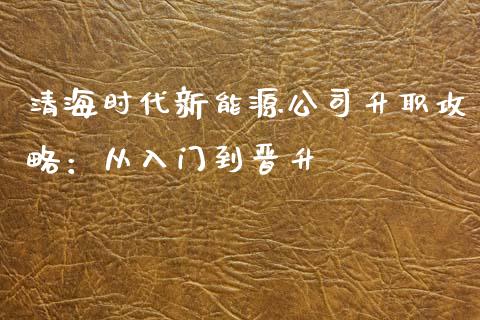 清海时代新能源公司升职攻略：从入门到晋升_https://cj.lansai.wang_理财问答_第1张