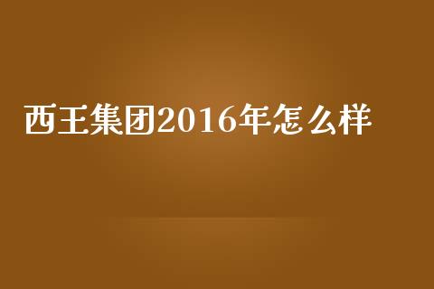 西王集团2016年怎么样_https://cj.lansai.wang_金融问答_第1张