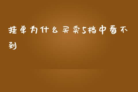 挂单为什么买卖5档中看不到_https://cj.lansai.wang_股市问答_第1张