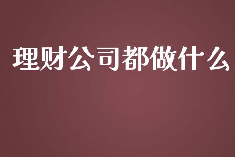 理财公司都做什么_https://cj.lansai.wang_理财问答_第1张