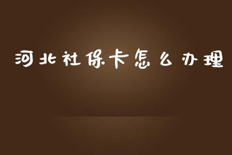 河北社保卡怎么办理_https://cj.lansai.wang_保险问答_第1张